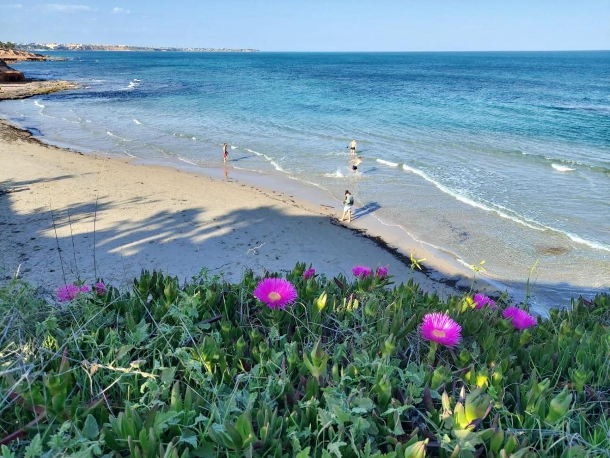 El Apartamento De Papa - Mil Palmeras Dehesa de Campoamor  Dış mekan fotoğraf
